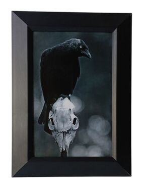 Black raven beautiful skeleton head Gothic Goth Punk Rock Rockabilly Oddy Birds
